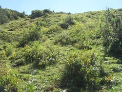 Bild_2; 314978