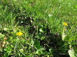Bild_3; 316225