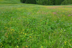 Bild_2; 320525