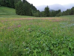Bild_1; 320532