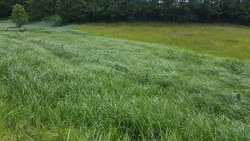 Bild_1; 333202
