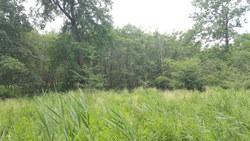 Bild_1; 333364