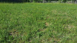 Bild_3; 342541