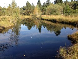 Bild_1; 343258