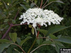 Bild_3; 346238