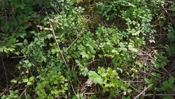 Bild_3; 349081