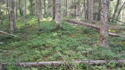 Bild_2; 349082