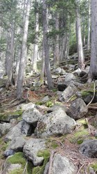 Bild_2; 350025