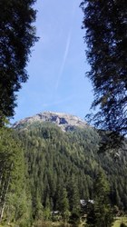 Bild_1; 350027