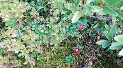 Bild_3; 350028