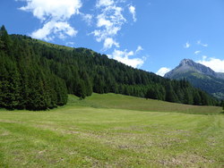 Bild_1; 350073