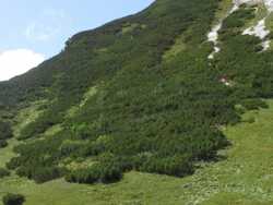 Bild_2; 379690