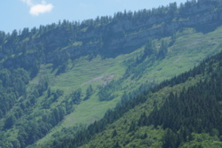 Bild_1; 381739