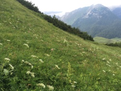 Bild_2; 430703