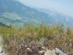 Bild_1; 484930